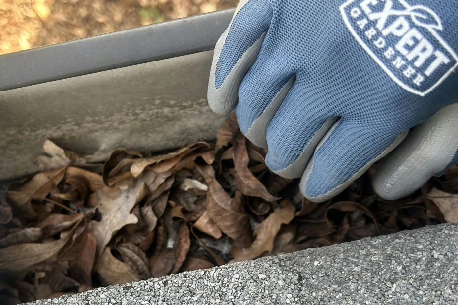 Gutter Cleaning Green Tree