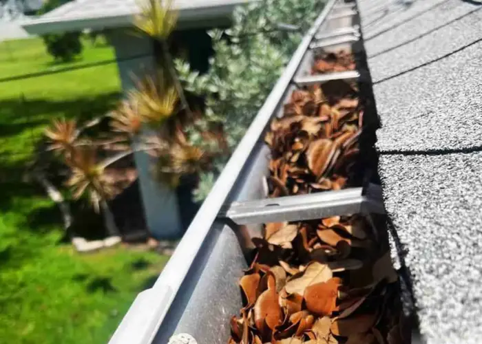 Gutter Cleaning Green Tree home page